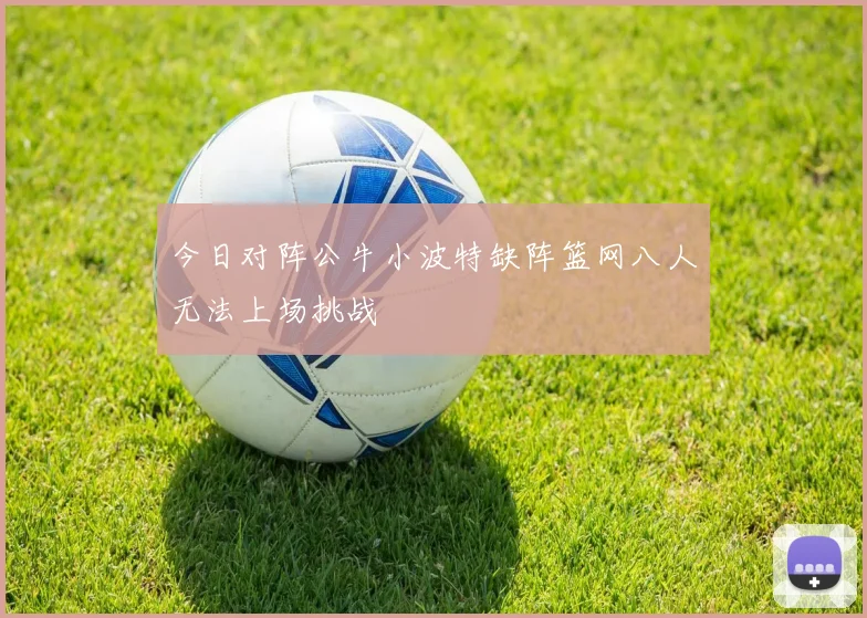 今日对阵公牛小波特缺阵篮网八人无法上场挑战