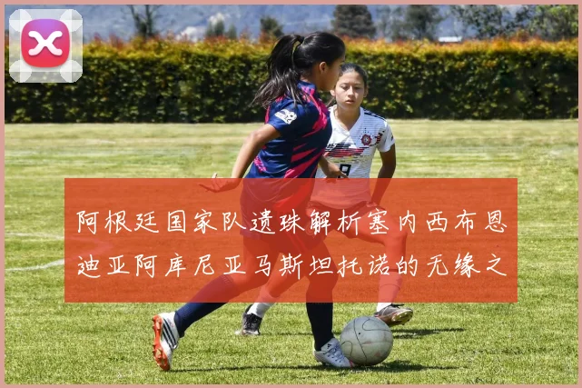 阿根廷国家队遗珠解析塞内西布恩迪亚阿库尼亚马斯坦托诺的无缘之路